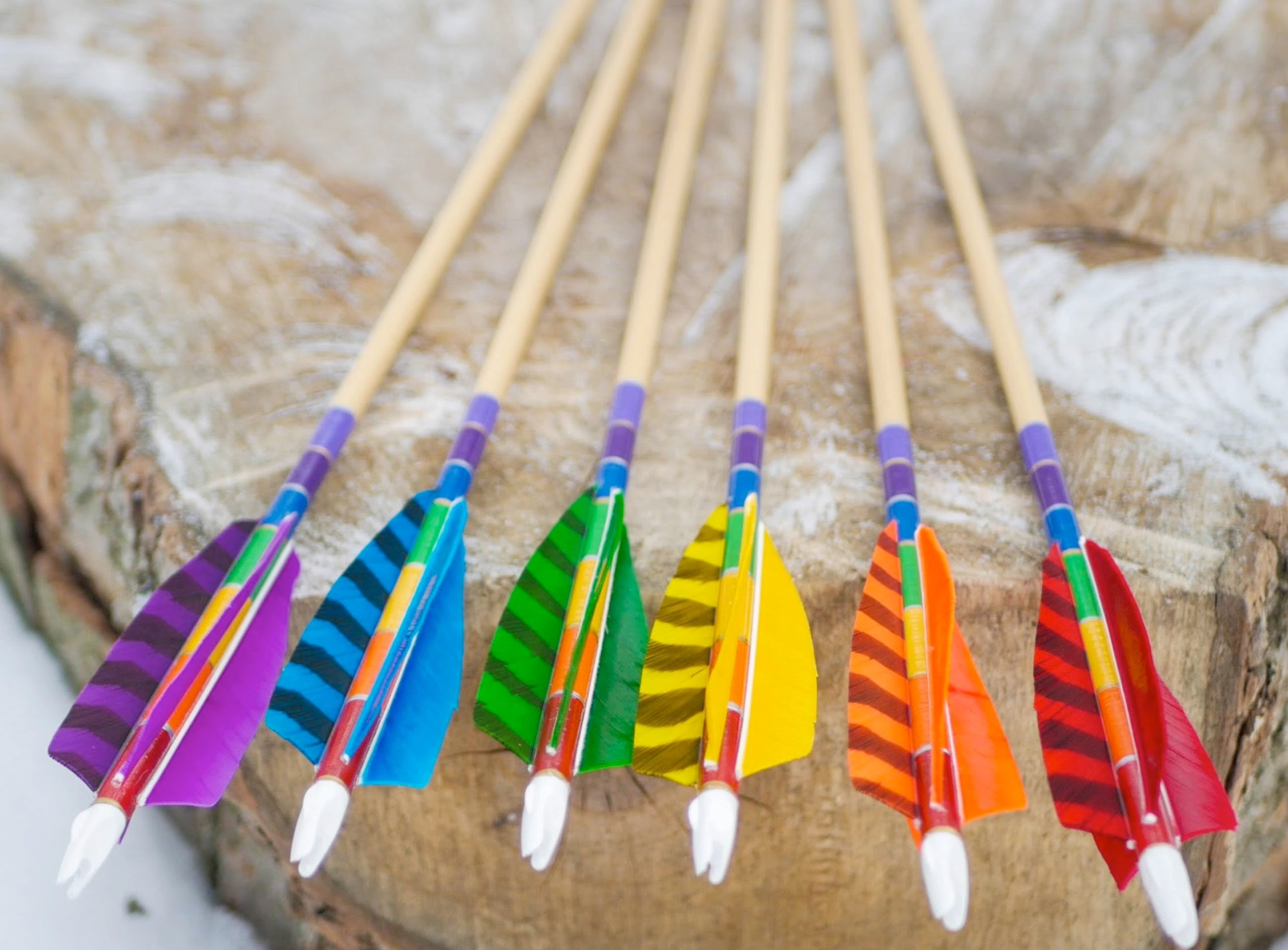 Rainbow fletched arrows — close-up of dyed feather detail